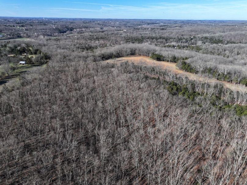 DJI_20260317092603_0958_D