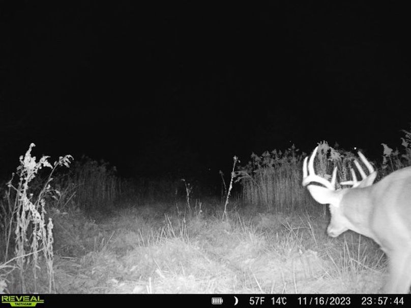 860322065128164-1-4-11162023235744-V-W1005796