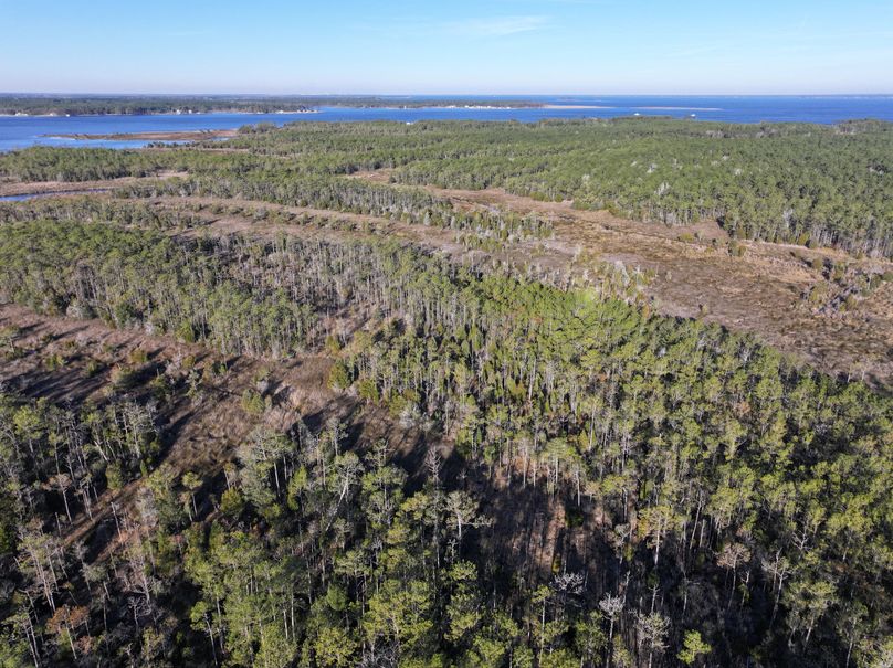 dji_fly_20231220_090306_0004_1703094073561_photo