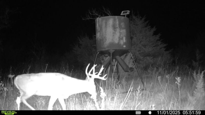 016578004503154-100-2-11012025055159-SYFW17178