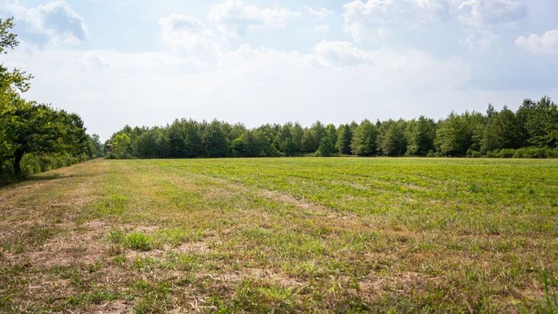 MadisonParLa1372-150