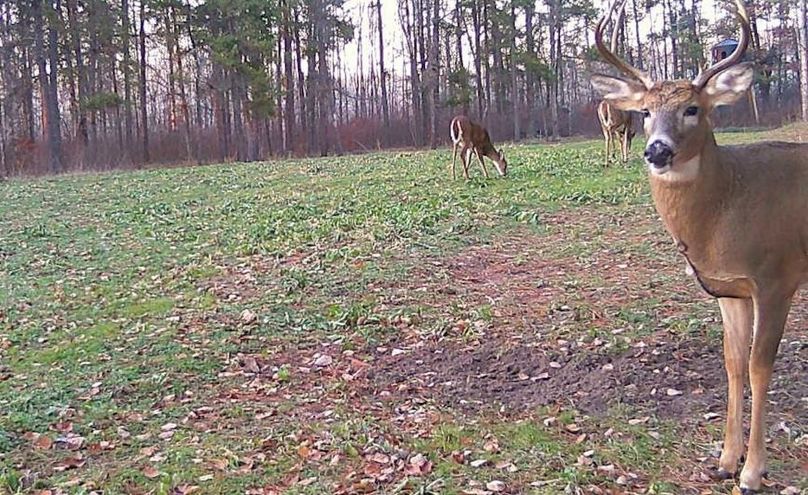 23110317513201000350 (1)