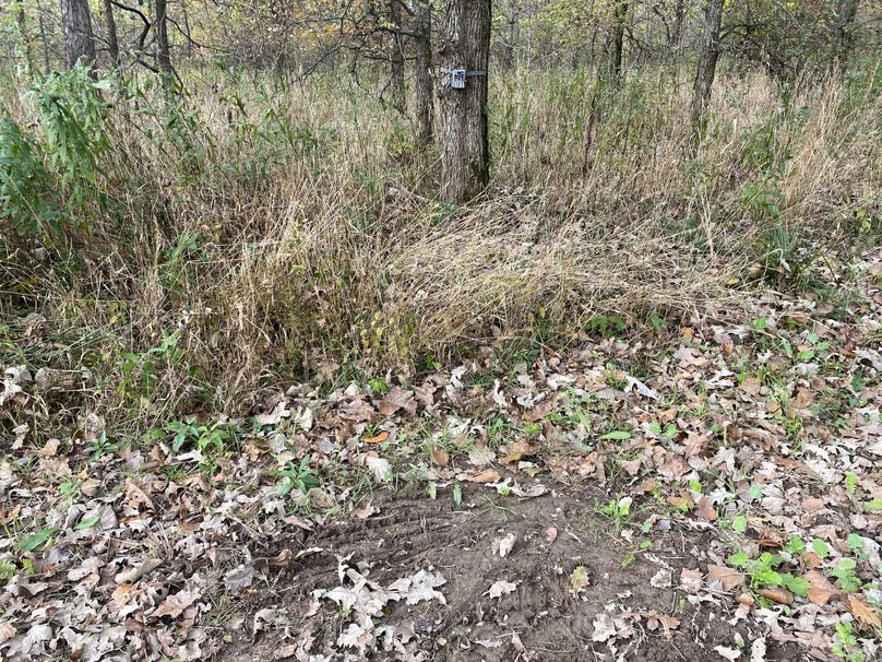 pics from late 2021 and early 2022. New plots being planted in Aug 2023 for new pics (73)