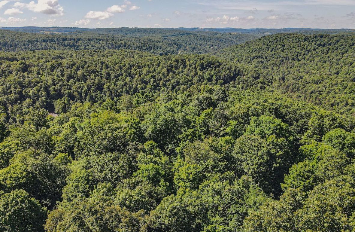 dji_fly_20240615_101954_751_1718461211279_photo