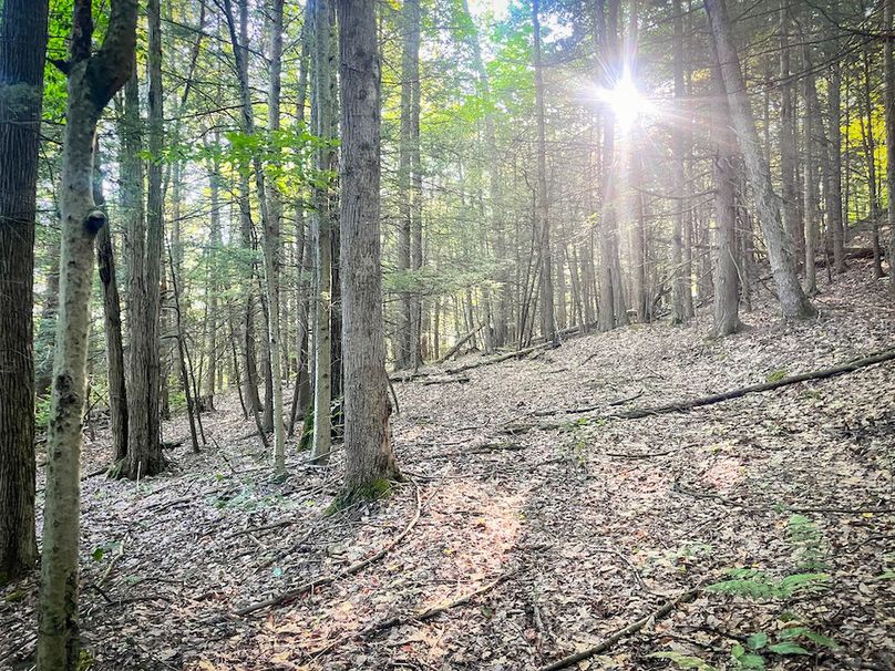 Tioga_82.5_Williams_Photos_39