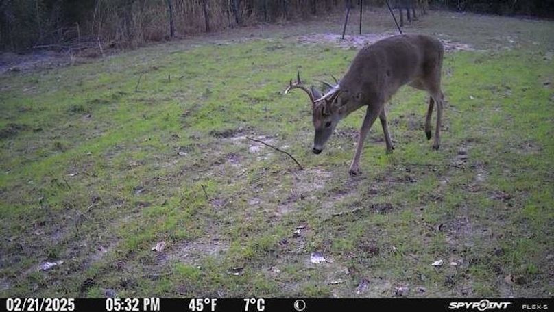 Trail Pic 1