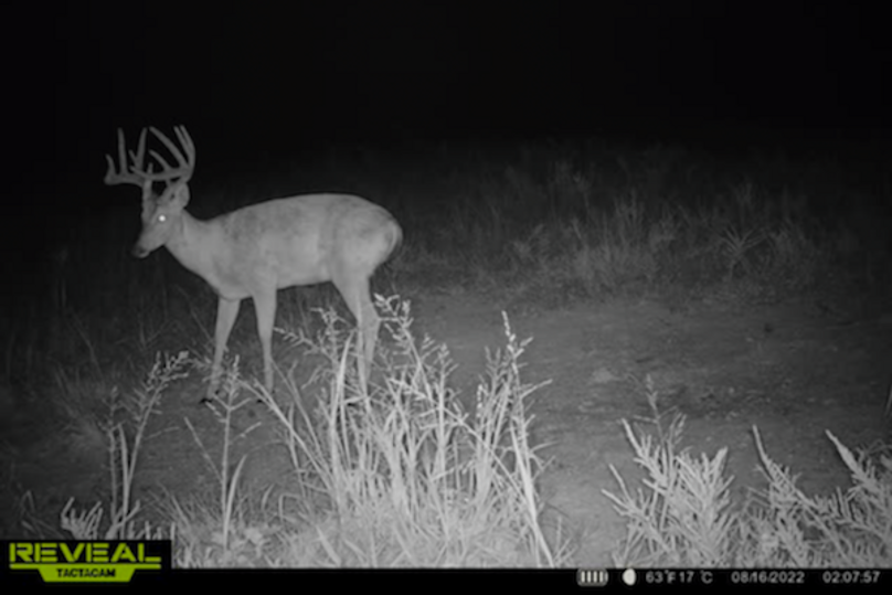 trail cam12