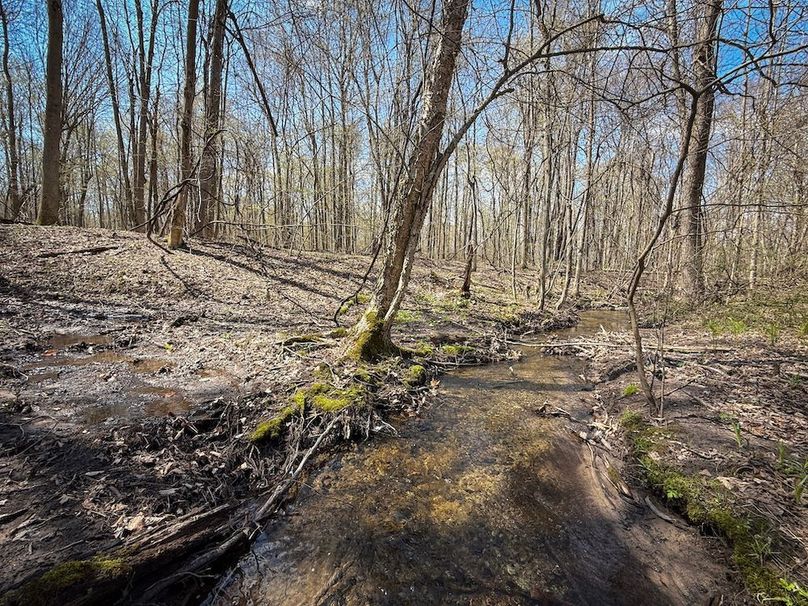Cayuga_23.5_Demott_photos_7