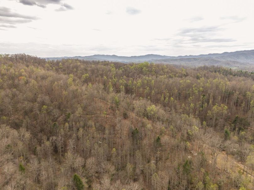 DJI_20260413144956_0002_D