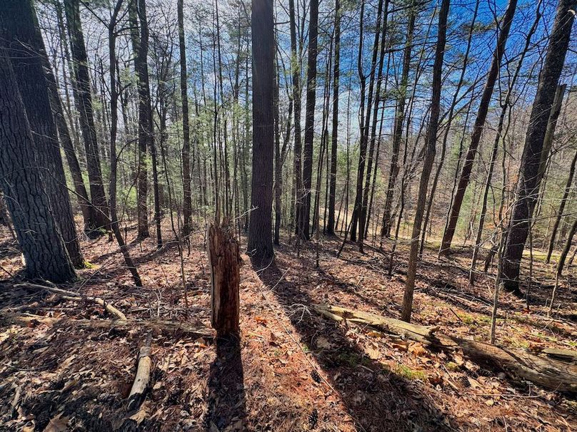 004 can you imagine this being your front porch_