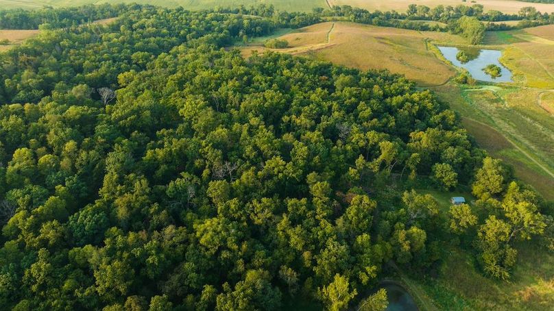 Cedar IA 152 Featured-Z92G