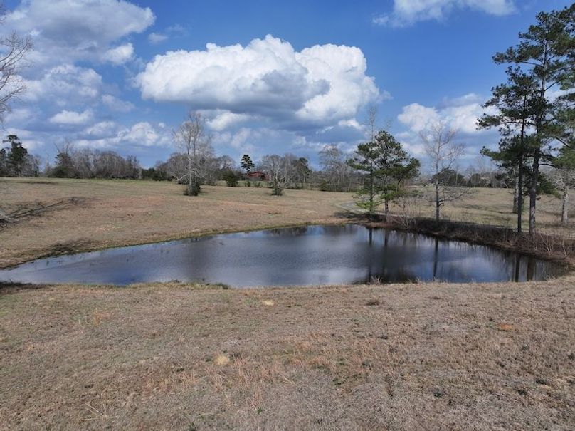 dji_fly_20260220_132058_0221_1771640791047_photo