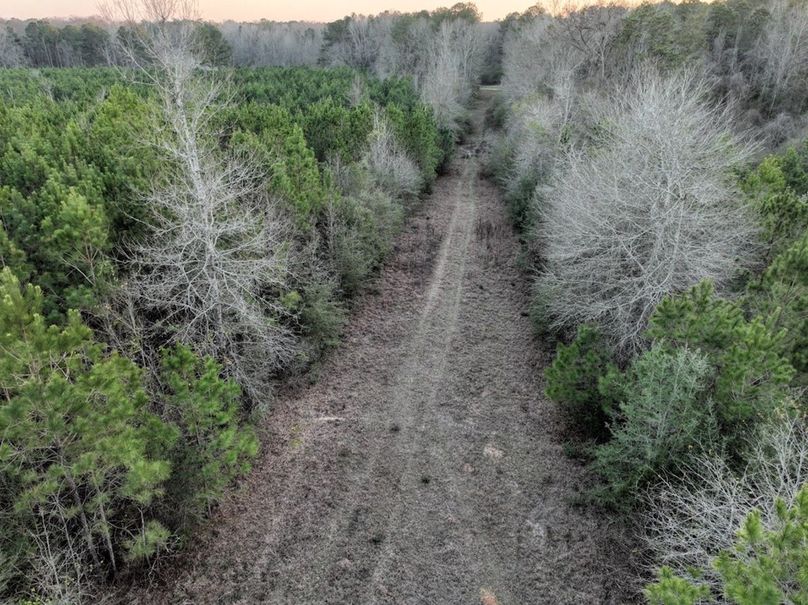 374A7328-75FF-4B1D-A087-2F0E28F4C9C5_1_105_c