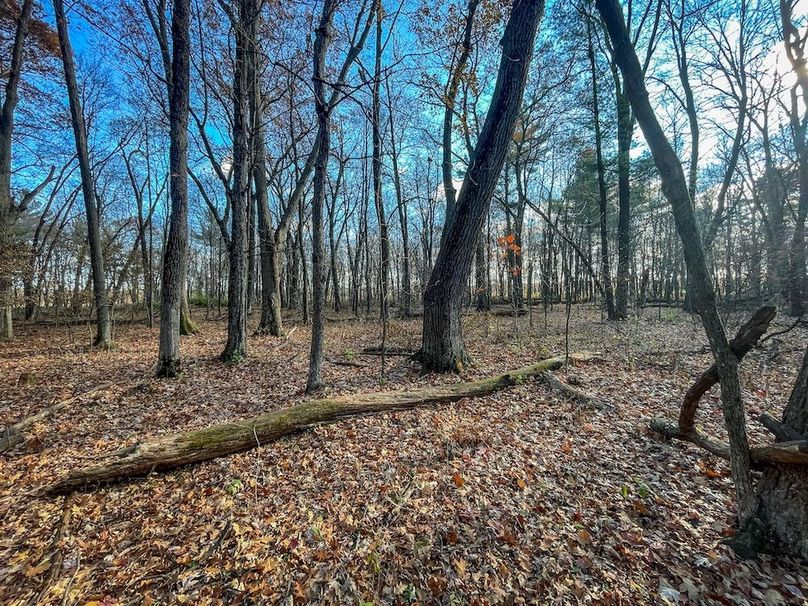 Portage 150.81 JMJK Prop-58