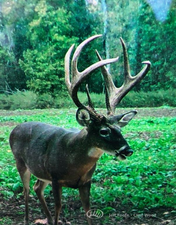 Washington Co - 980 - Patrick-27