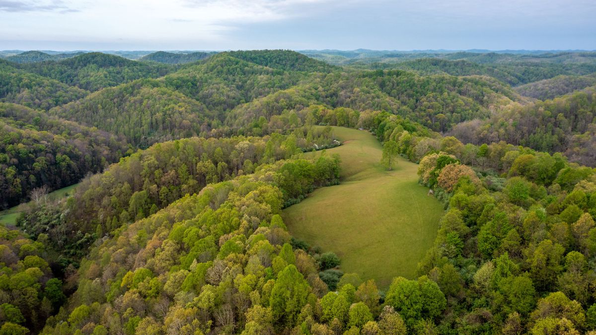 Large Cattle And Timber Farm Near Gassaway In Central WV Whitetail