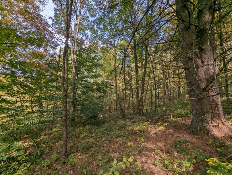 PXL_20231004_191257035