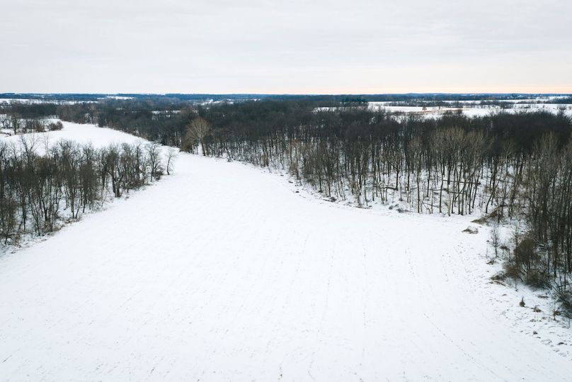 DJI_20260128165122_0586_D