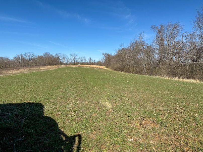 Fleming Petry 115-28