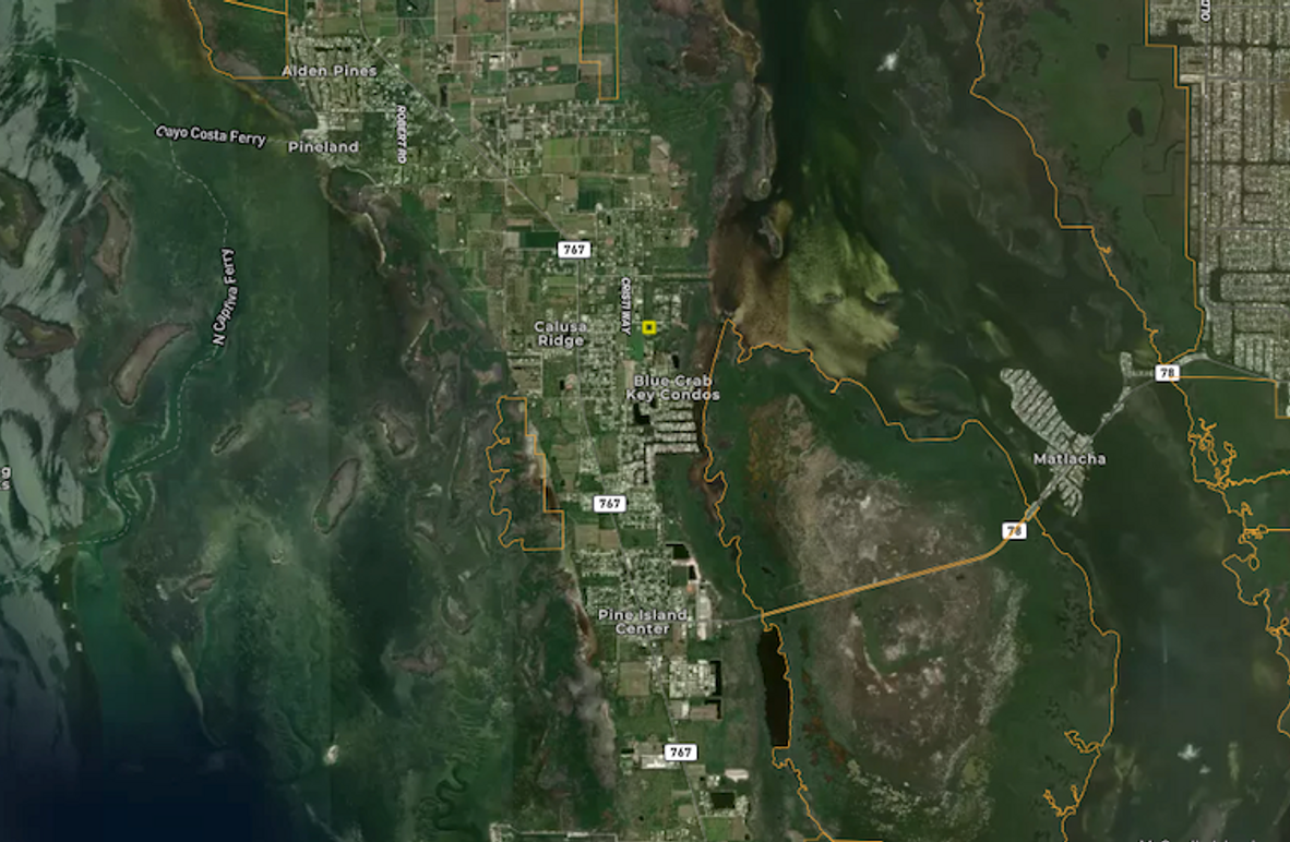 Screenshot 2026-02-06 at 2.11.54 PM