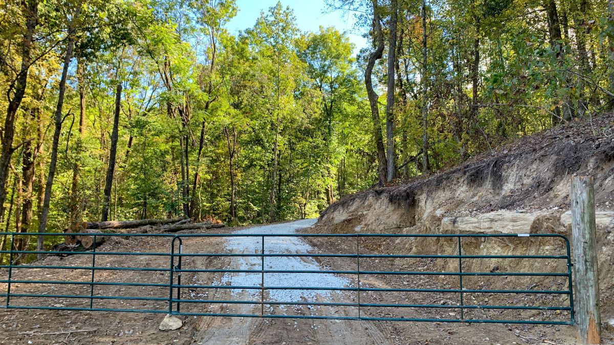 AllTimber Investment Property With Building Site Whitetail Properties