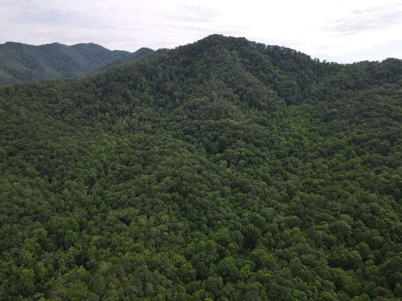 Swain 39 Tysinger-13