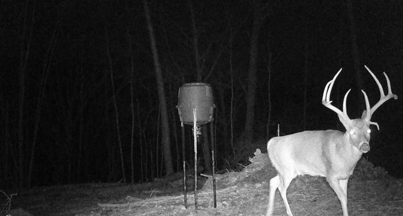 Trailcam 10