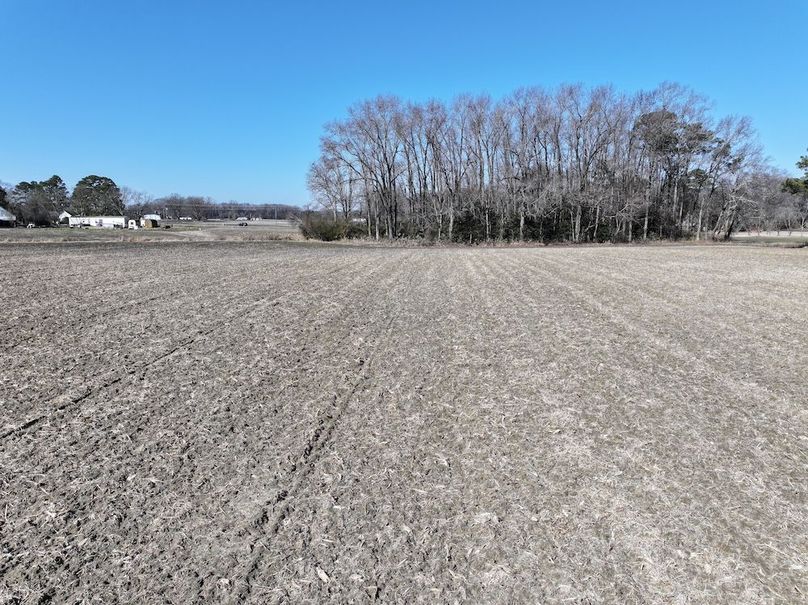 DJI_20260201121222_0406_D