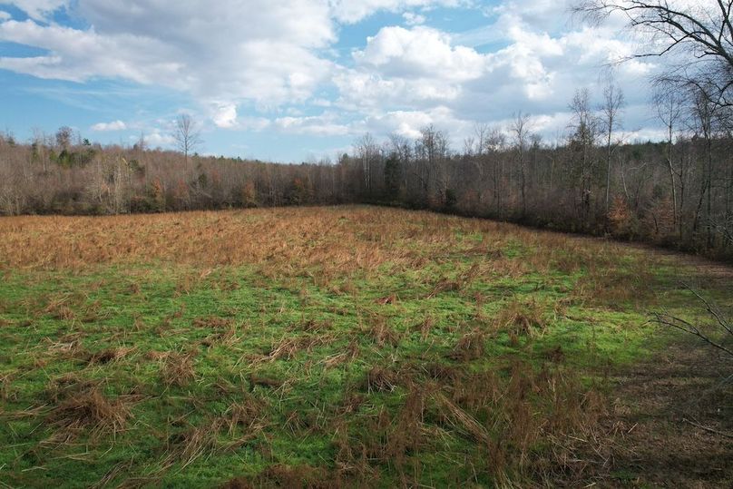 dji_fly_20251120_024320_941_1763686309181_photo