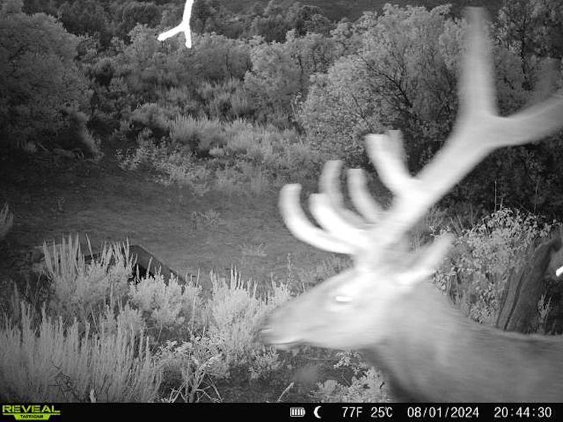 860516060007964-100-2-08012024204430-V-W1002968