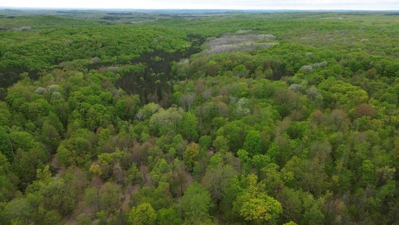 DJI_0427
