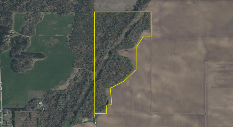 Screenshot 2026-03-06 at 12.44.25 PM