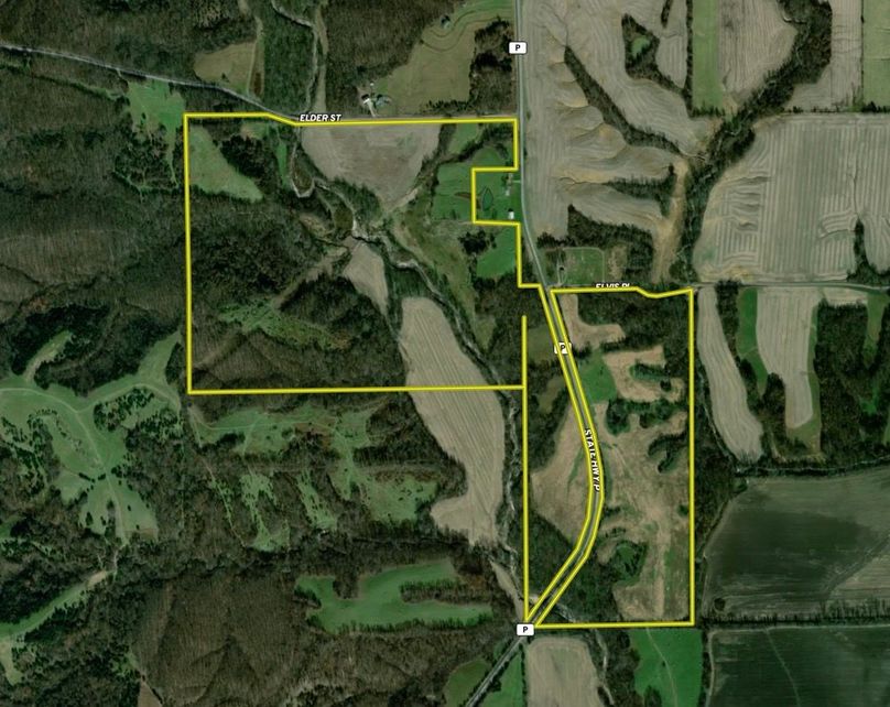 Screenshot 2026-02-10 at 7.03.36 PM