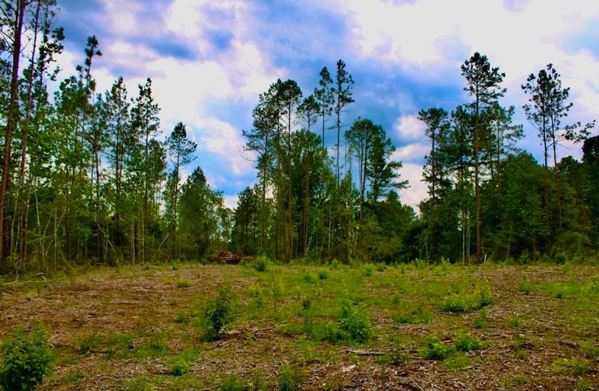 6B259B3B-F6C3-45C9-9860-6CE0B2101266_1_105_c