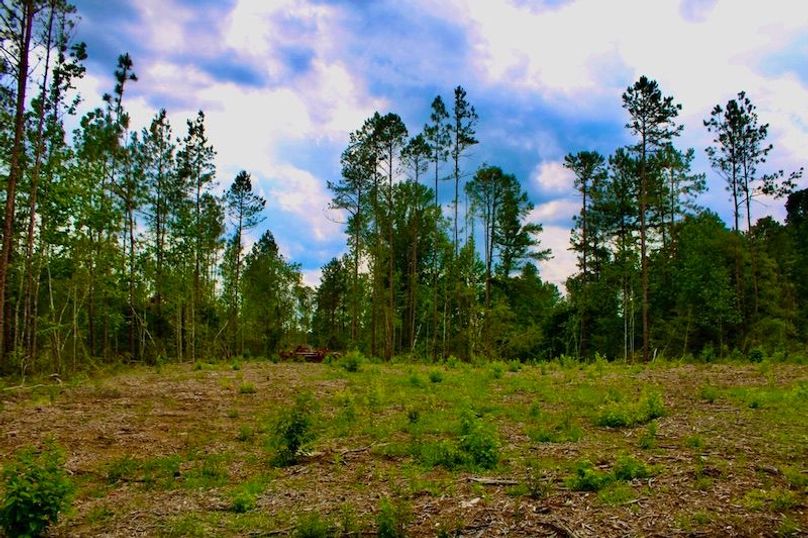 6B259B3B-F6C3-45C9-9860-6CE0B2101266_1_105_c