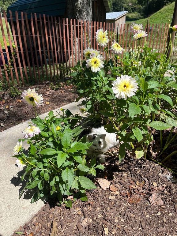 051 summertime, summertime!