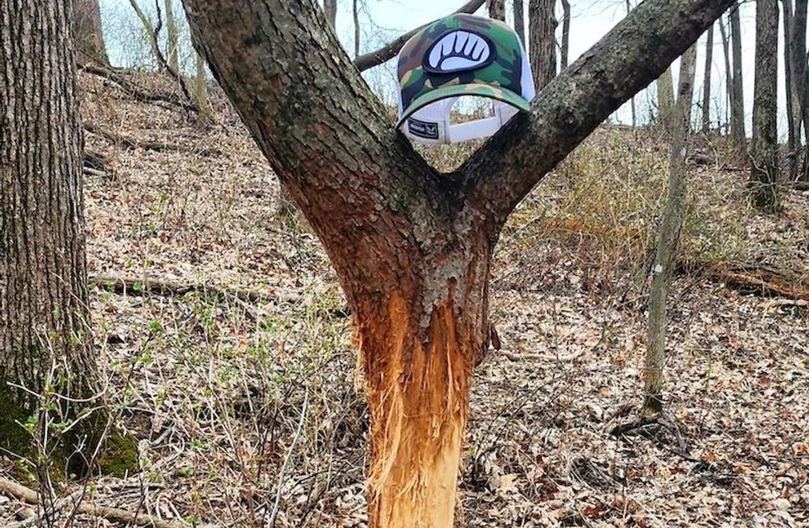 Clayton 46.81 Cover copy