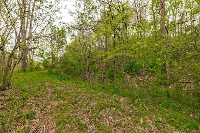 78-web-or-mls-1103 Johnny Spears Rd-83