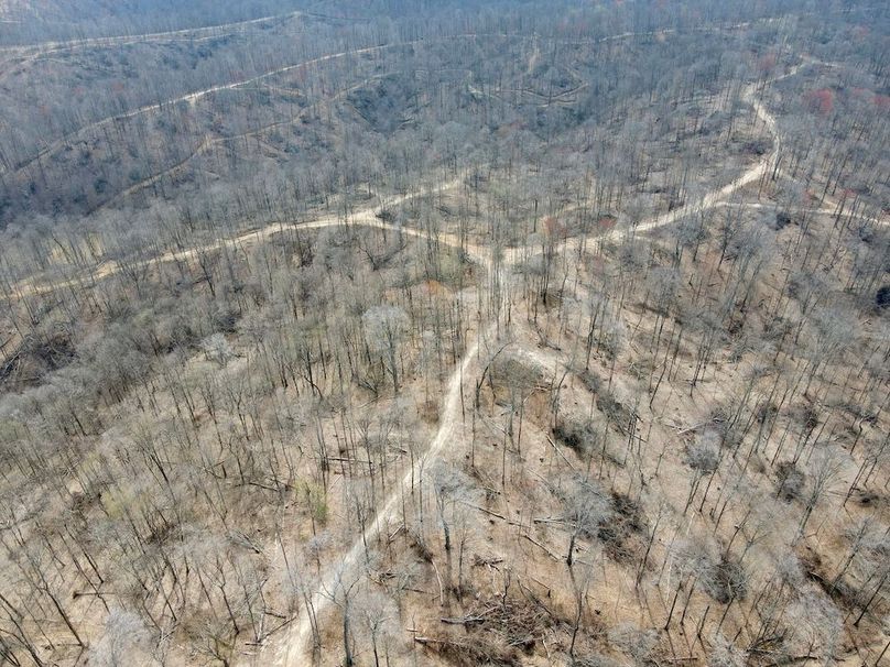 dji_fly_20240329_125402_564_1711731257309_photo