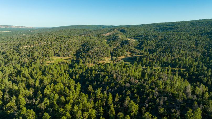 Cibola NM 13,053-0501