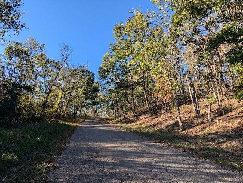 PXL_20251001_212446458