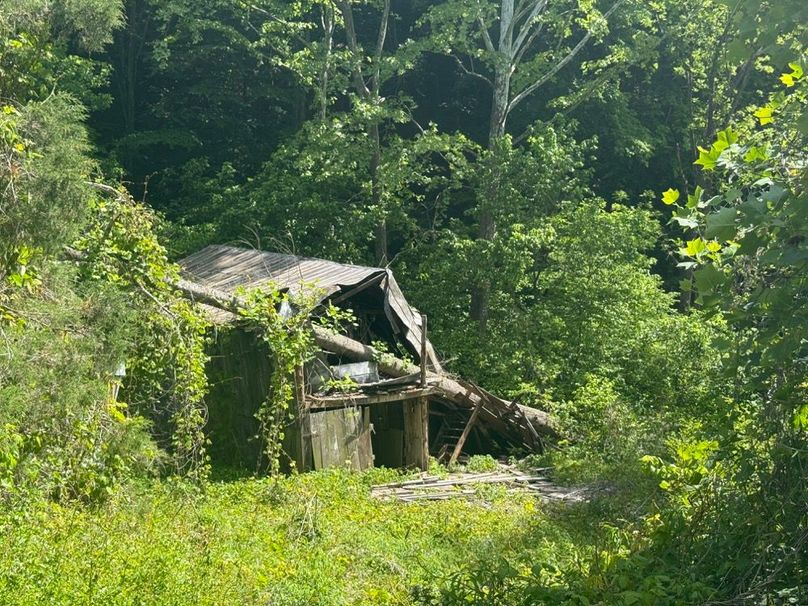 008 the old barn that has wood that could be potentially reused