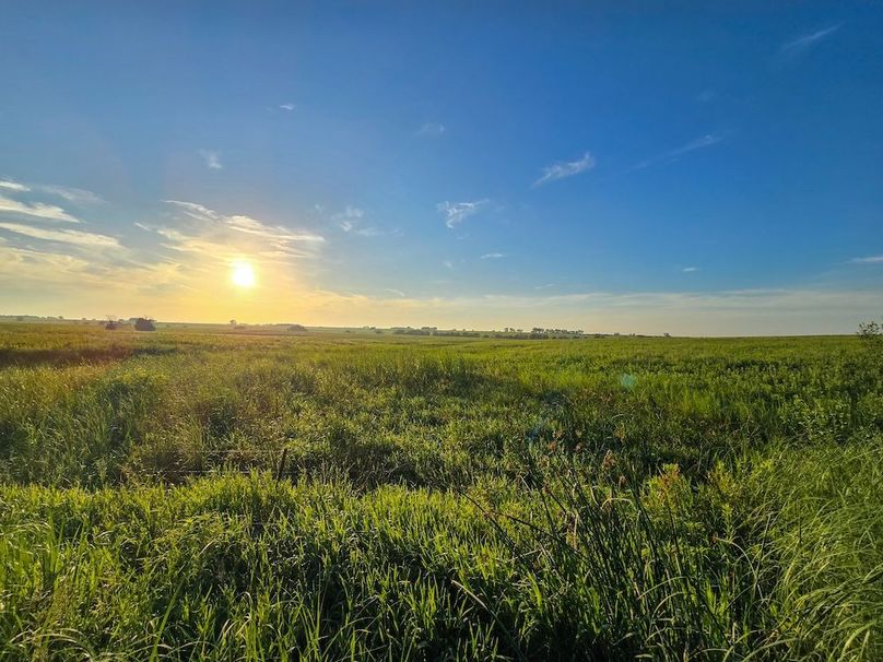 Copy of 20250625_064627