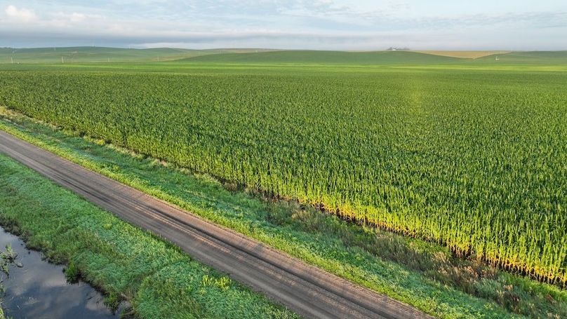 Copy of Copy of DJI_0357