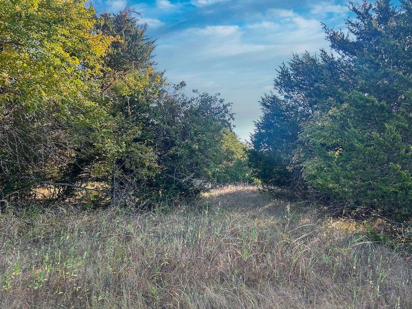 Lamar County- 93 acre reshoot (15 of 38)