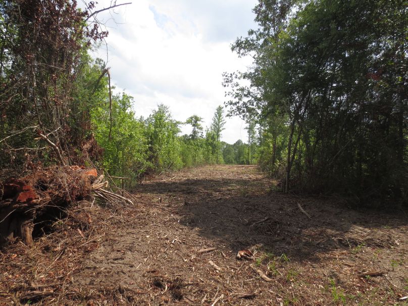 7B1DE2EF-77A0-4E17-88C1-656F642FD6BD