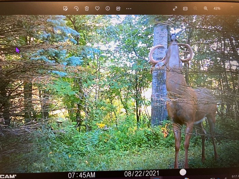 71008665176__FF8463AC-1833-4298-B6A2-980502340110