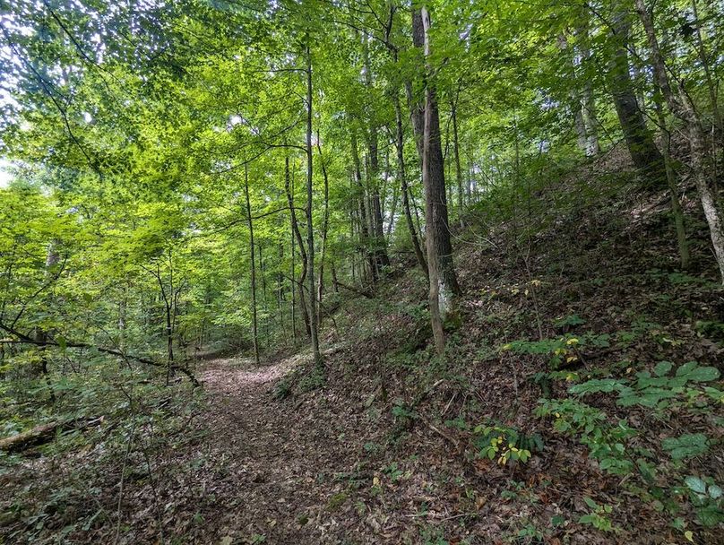 PXL_20240819_145537189