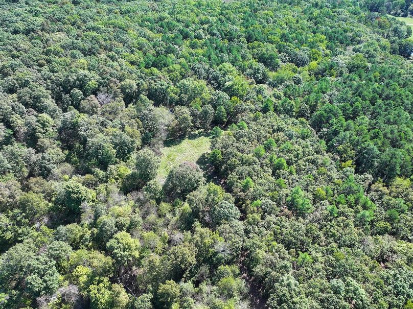 DJI_20240925113102_0224_D