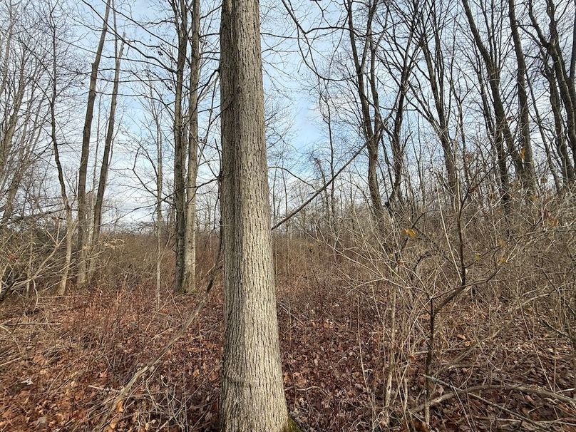 Tompkins_15.15_Galarza Photo 28